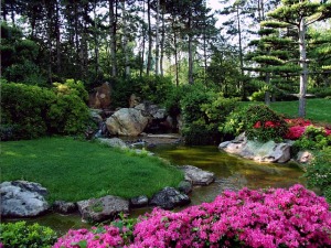 landscape-322100_640(2)